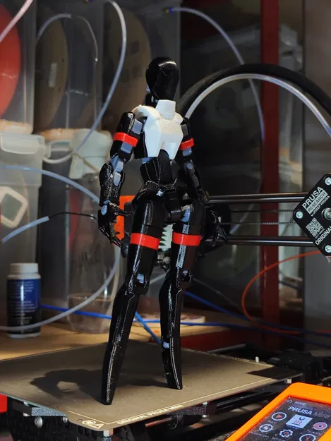 Dummy 13 Signalis LSTR-512 Set (Bản Beta) - Image 1