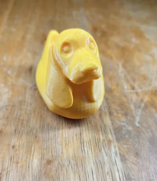 Vịt Basset Hound - Image 3