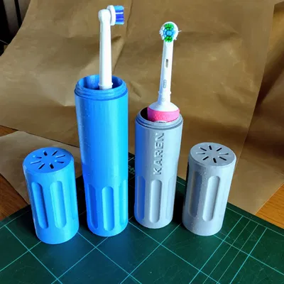 Hộp đựng du lịch Bàn chải điện (Oral-B Pro 2 2000 & Vitality 100)