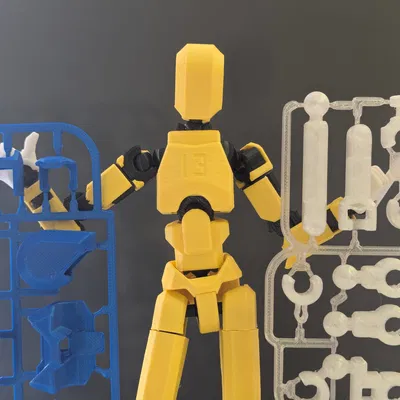 Dummy 13 Female V1.0 150% Kit Card