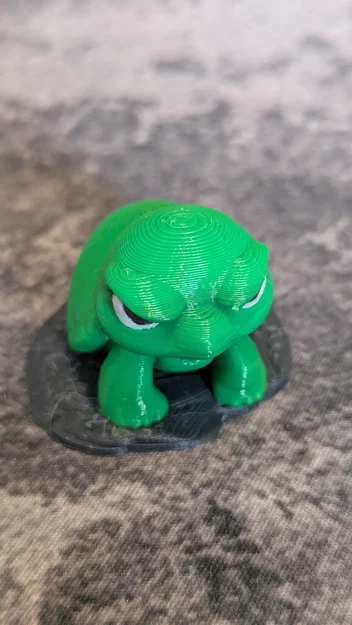 Rùa cau có dễ thương - Image 2