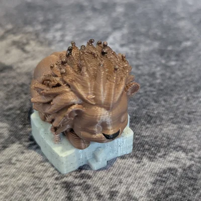 Sư tử ngủ dễ thương