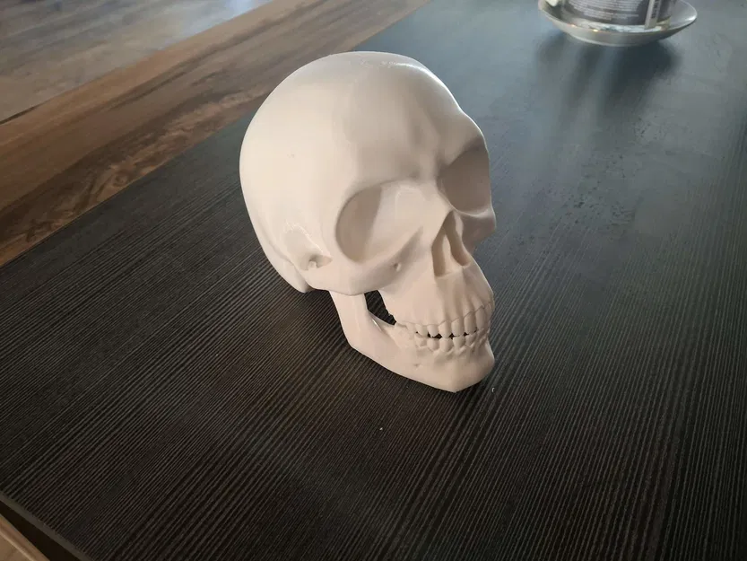 Đầu Lâu Cho Baga Xe / Skull for towbar - Image 2