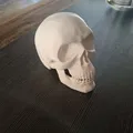 Đầu Lâu Cho Baga Xe / Skull for towbar - Thumbnail 2