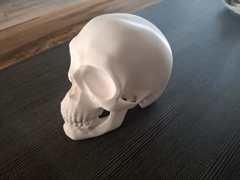 Đầu Lâu Cho Baga Xe / Skull for towbar - Image 3