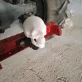 Đầu Lâu Cho Baga Xe / Skull for towbar - Thumbnail 5