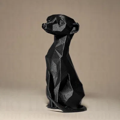 Mô Hình Lục Giác Tinh Nghịch MEERKAT