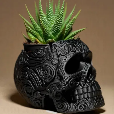 Nắp/Hộp Đựng Hình Đầu Lâu