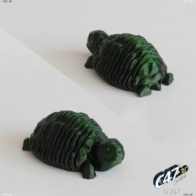 Rùa Đồng Cỏ Thân Mềm Dẻo