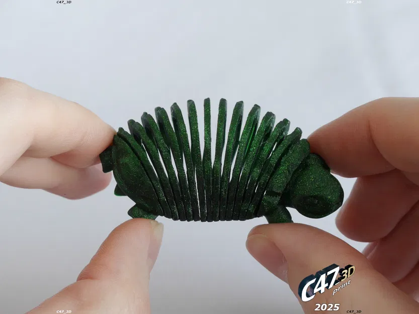 Rùa Đồng Cỏ Thân Mềm Dẻo - Image 3