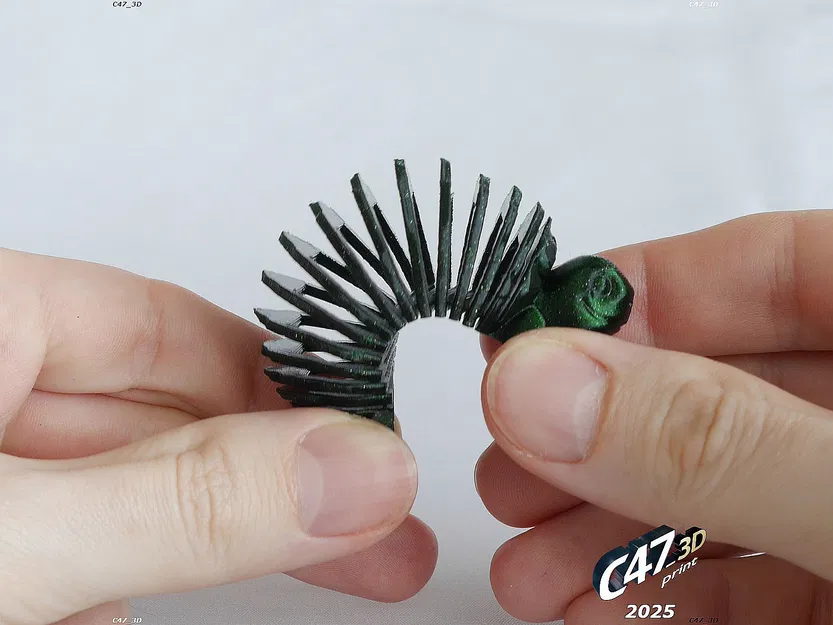 Rùa Đồng Cỏ Thân Mềm Dẻo - Image 4