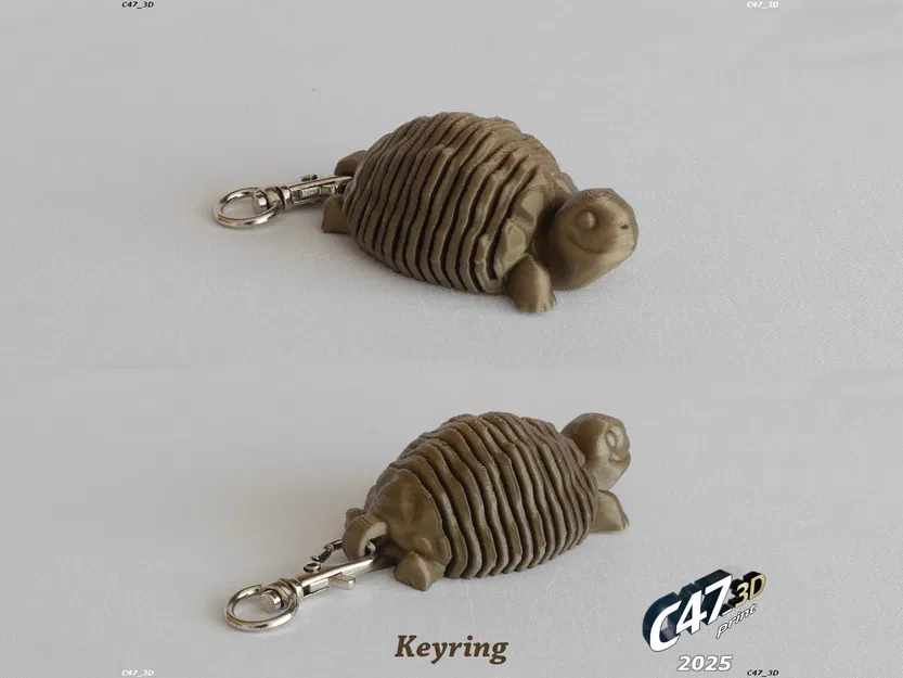 Rùa Đồng Cỏ Thân Mềm Dẻo - Image 5