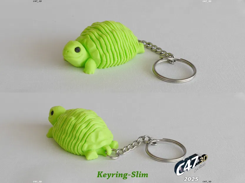 Rùa Đồng Cỏ Thân Mềm Dẻo - Image 6