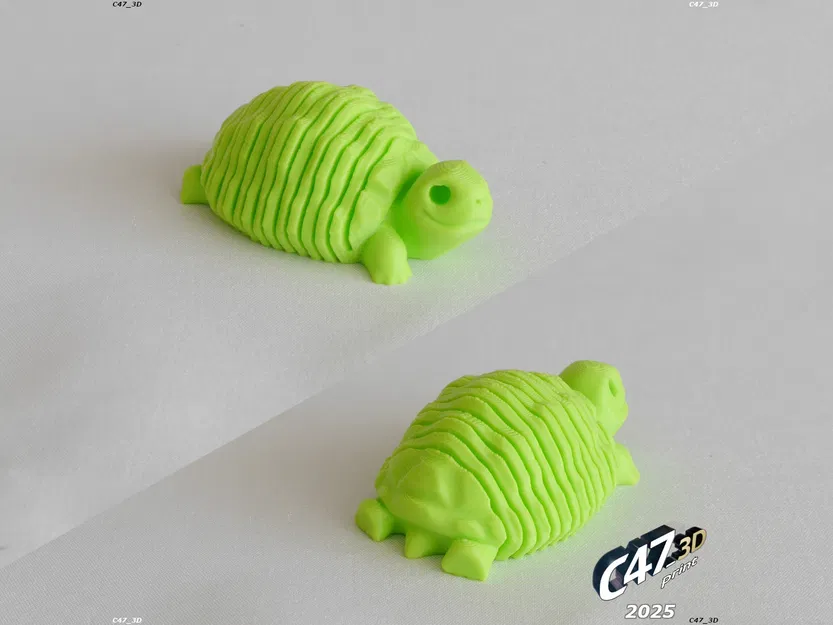 Rùa Đồng Cỏ Thân Mềm Dẻo - Image 7