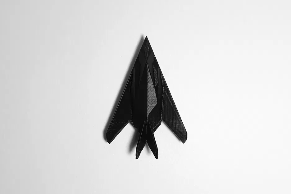 Máy bay tấn công tàng hình F-117 Nighthawk siêu nhỏ in một lần - Image 4