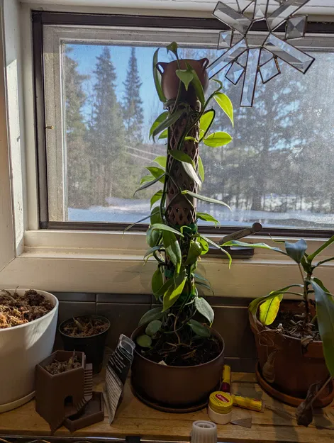 Chậu Cây Giữ Rêu - Image 1