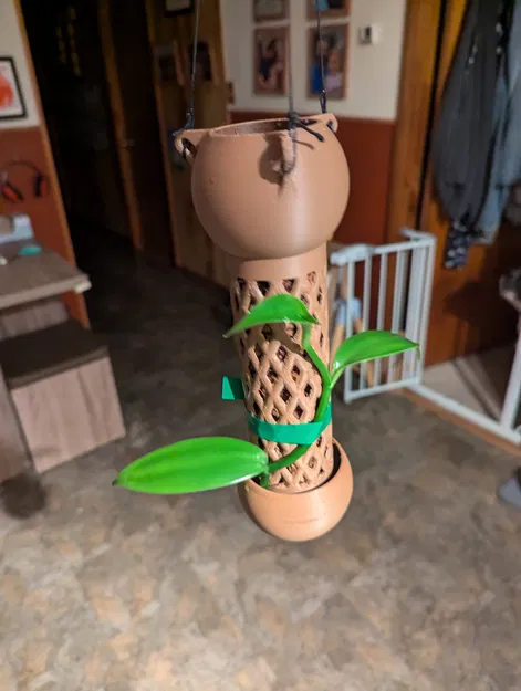 Chậu Cây Giữ Rêu - Image 2