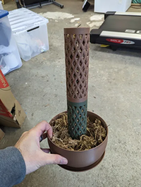 Chậu Cây Giữ Rêu - Image 10