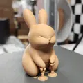 Thỏ Mập Mạp "Chubby Bunny" Dễ Thương Cho Lễ Phục Sinh - Thumbnail 6