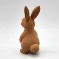 Thỏ Đứng - Thumbnail 5