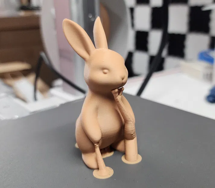 Thỏ Đứng - Image 6