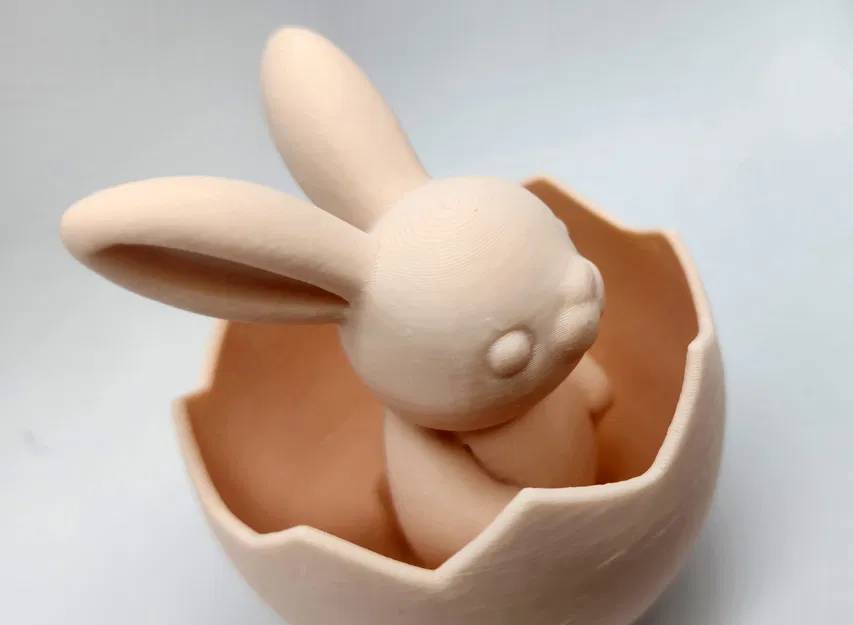 Thỏ trong Trứng - Không Cần Support - Image 4