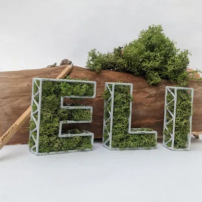 Chữ Rêu Tự Đứng Theo Tên