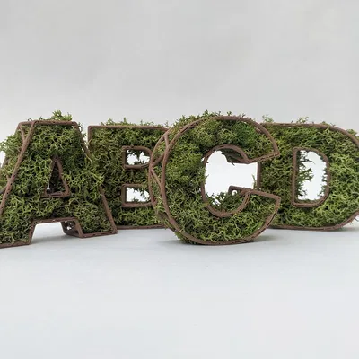 Chữ Rêu Tự Đứng Theo Tên