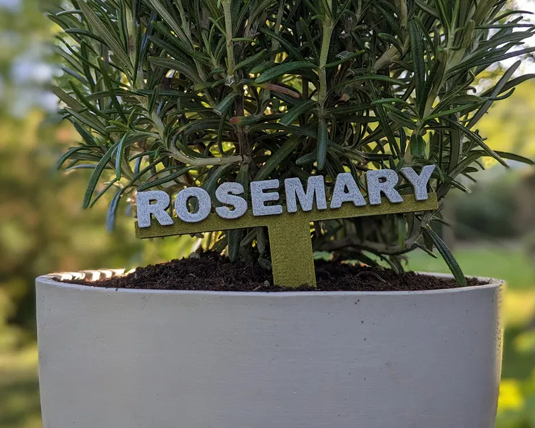 Nhãn Thảo Mộc - Font Chữ Tiêu Chuẩn - Image 2