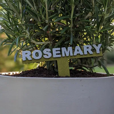 Nhãn Thảo Mộc - Font Chữ Tiêu Chuẩn