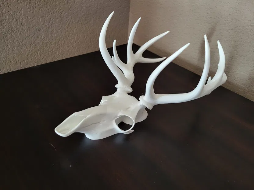 Trang Trí Tường Hình Đầu Lâu Hươu - Image 3