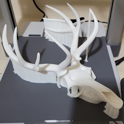 Trang Trí Tường Hình Đầu Lâu Hươu