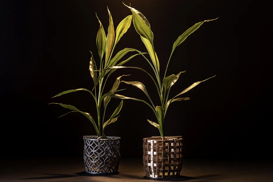 Giỏ đựng ly thủy tinh có đế đỡ cây - Image 2