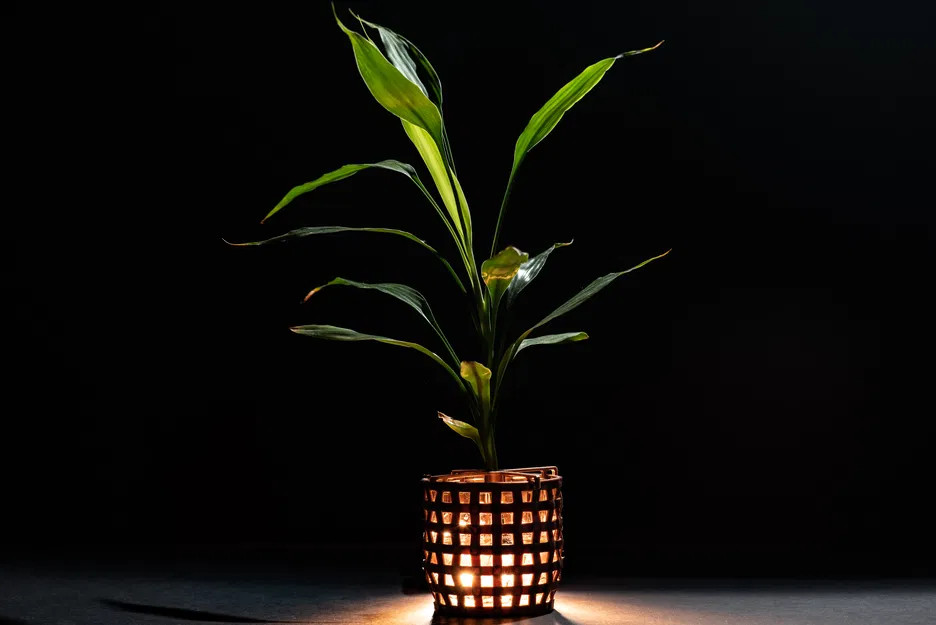 Giỏ đựng ly thủy tinh có đế đỡ cây - Image 3