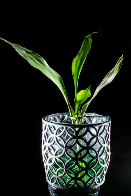 Giỏ đựng ly thủy tinh có đế đỡ cây - Image 4