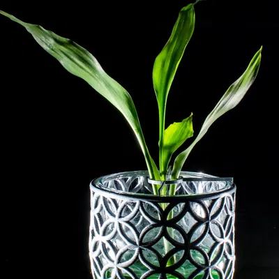 Giỏ đựng ly thủy tinh có đế đỡ cây