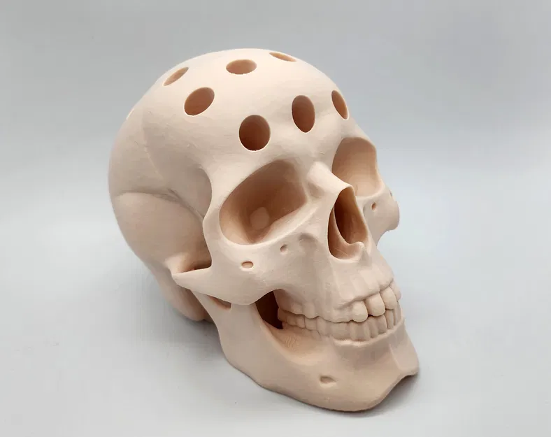 Hộp Đựng Bút Hình Đầu Lâu Người - Image 2