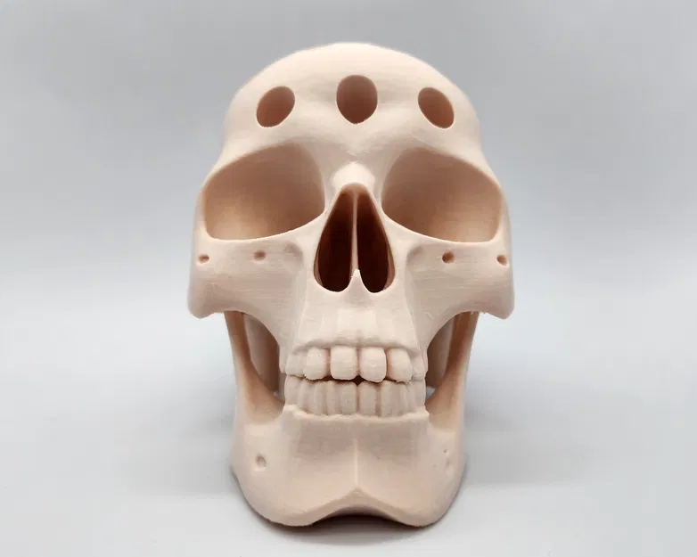 Hộp Đựng Bút Hình Đầu Lâu Người - Image 6