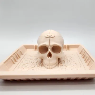 Khay Đựng Đồ Hình Đầu Lâu - Không Cần Hỗ Trợ Tùy Chọn