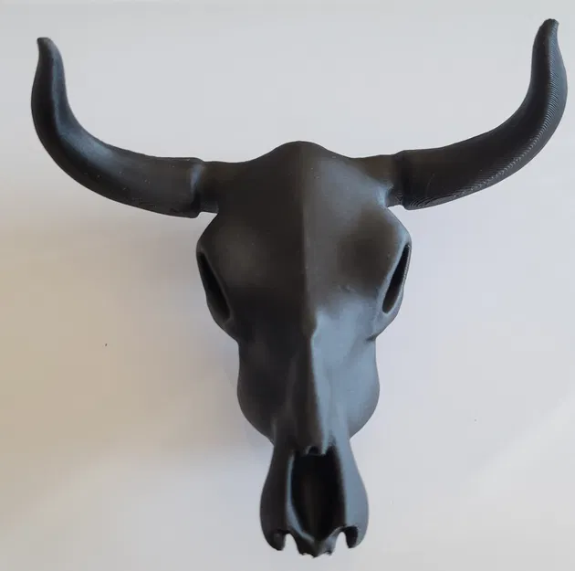 Đầu Bò Bò - Image 2