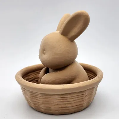 Thỏ trong giỏ - Không cần Support