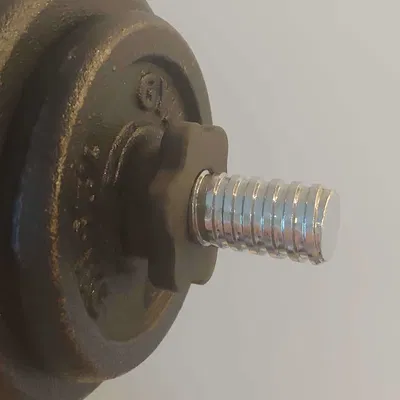 Đai Ốc Tạ Đôi