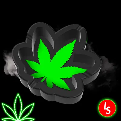 Khay Đựng Tàn Thuốc Lá & Khay Đựng Đồ Hình Lá Cần Sa