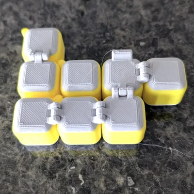 Khối Lập Phương Có Bản Lề của Bram