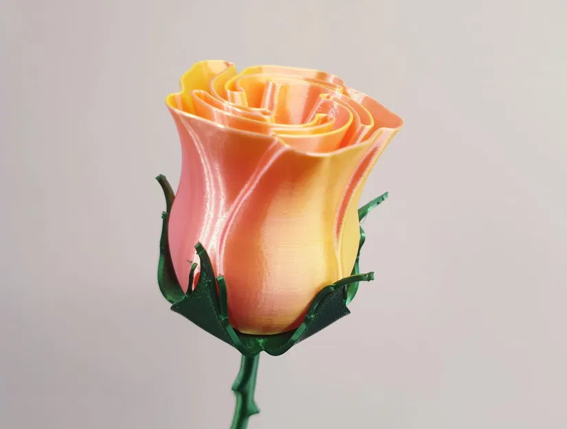 Cành gai có lá đẹp - Image 1