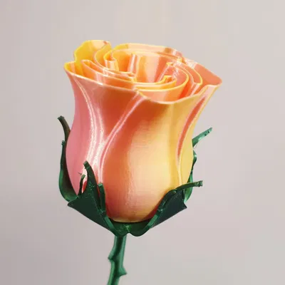 Cành gai có lá đẹp