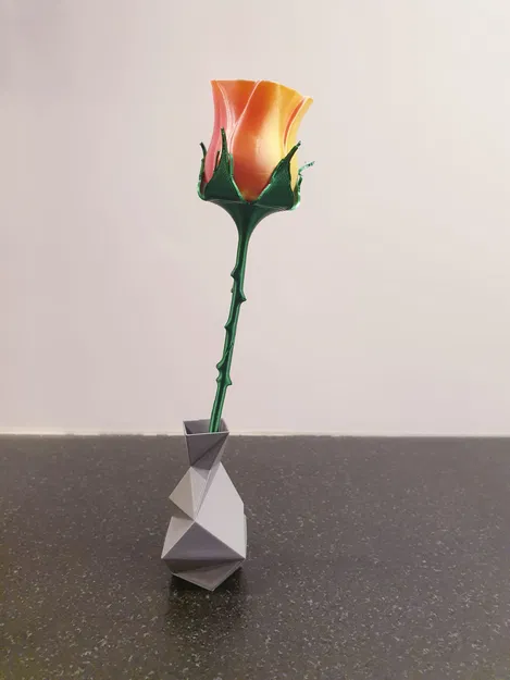 Cành gai có lá đẹp - Image 2