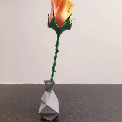 Cành gai có lá đẹp