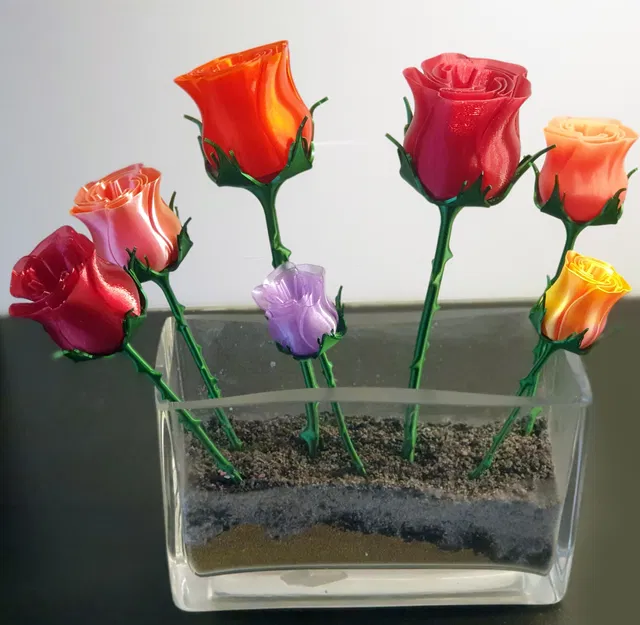 Cành gai có lá đẹp - Image 3