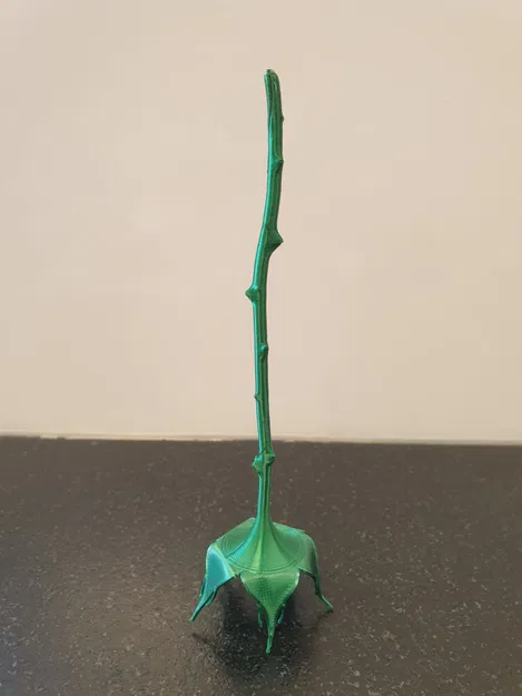 Cành gai có lá đẹp - Image 6